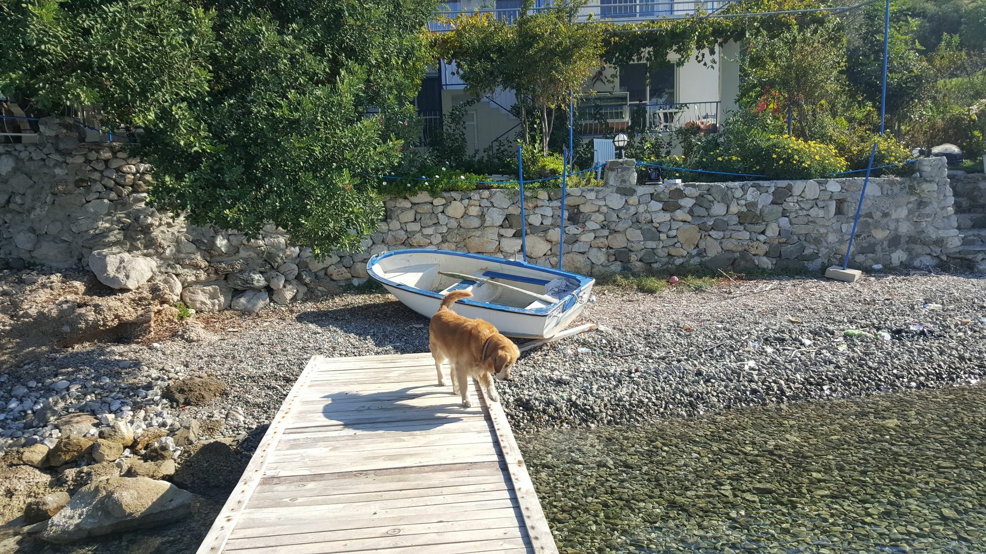 Mavi Akvaryum Otel Selimiye  Exterior photo